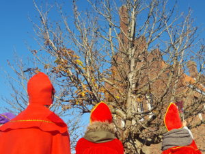 sint intocht